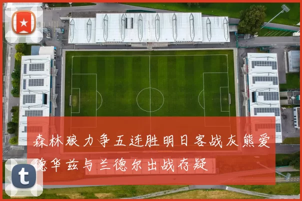 森林狼力争五连胜明日客战灰熊爱德华兹与兰德尔出战存疑