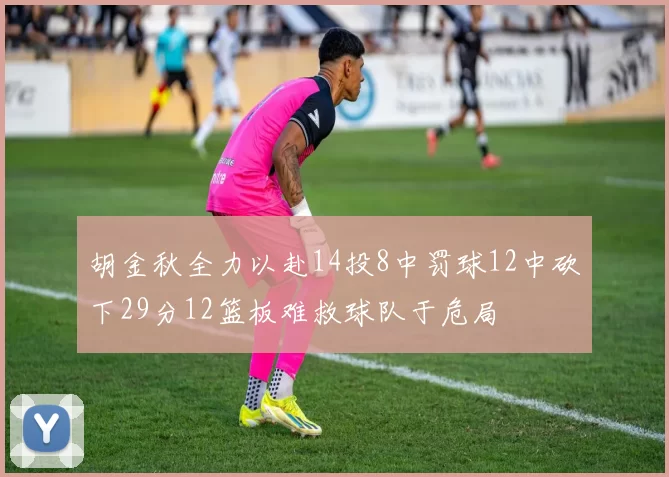 胡金秋全力以赴14投8中罚球12中砍下29分12篮板难救球队于危局