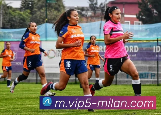 米兰体育服务体系